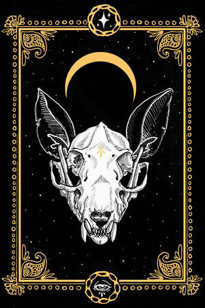 Witchy Aesthetic na Skull Card wallpaper — Witchy aesthetic GIF Wallpaper