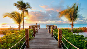 Wooden Beach Walkway wallpaper.