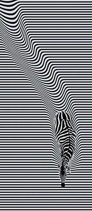 Optical Illusion [picture] — Nubia A77 Wallpaper
