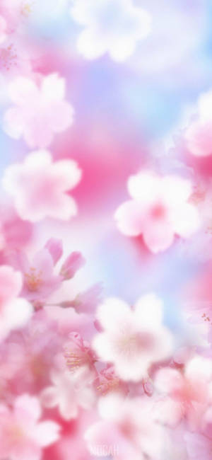 Zoom Flower — Pixel 10 Pro Wallpaper